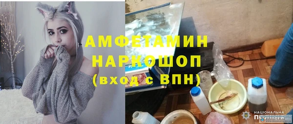 прущие грибы Абинск