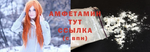 прущие грибы Абинск
