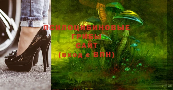 прущие грибы Абинск