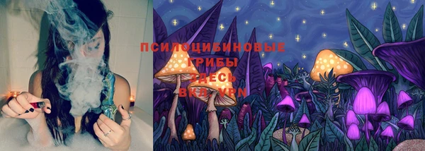 шишки Абдулино