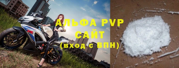 прущие грибы Абинск